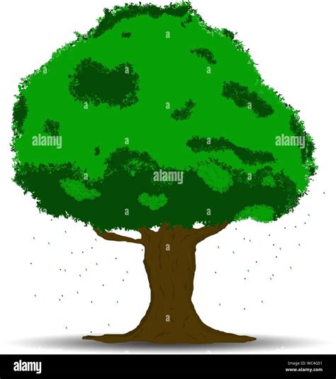 Vector drawing green tree with shadow isolated on white background Stock Vector Image & Art - Alamy