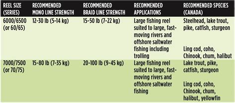 Kayak Fishing: Rod & Reel Choices - Island Fisherman Magazine