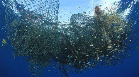 6 Harmful Overfishing Practices and Types of Gear | 4ocean