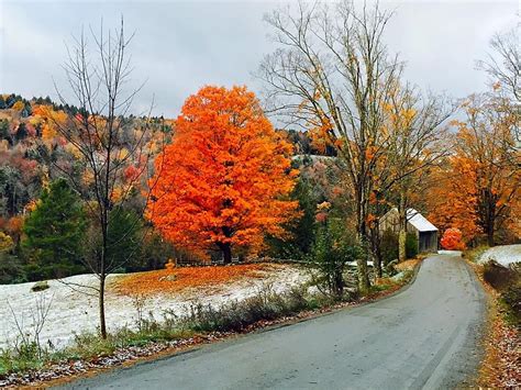 Kate Jones - Photos/Videos of WCAX-TV | Vermont fall, Maine new england ...