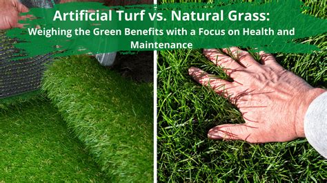 Artificial Turf vs. Natural Grass Weighing the Green Benefits with a Focus on Health and ...