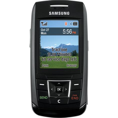 TracFone TFSAT301GP4/T301G Prepaid Cellular Phone, Samsung T301G