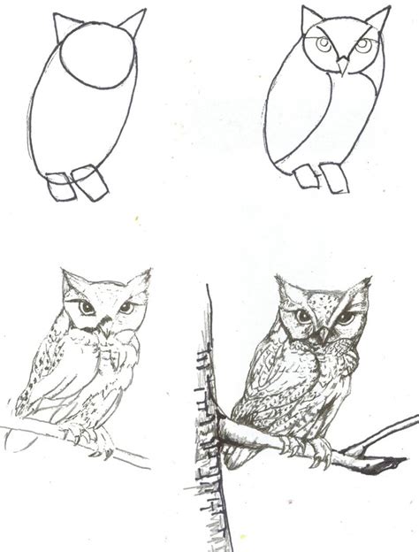 How To Draw Animals Step By Step With Pencil / The following step by ...