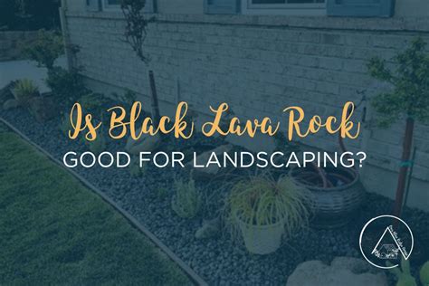 15 Black Lava Rock Landscaping Ideas - Our Blue Ridge House