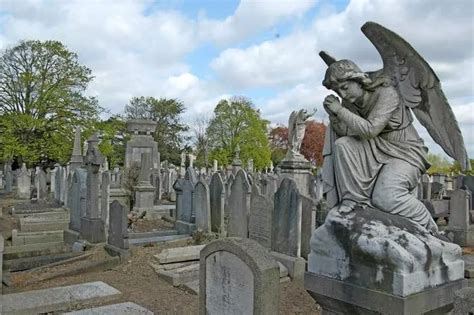 The Irish gothic writers behind spooky stories of the supernatural - Irish Star