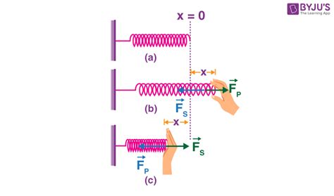 Potential Energy of a Spring - Compression Springs | Physics | BYJU'S