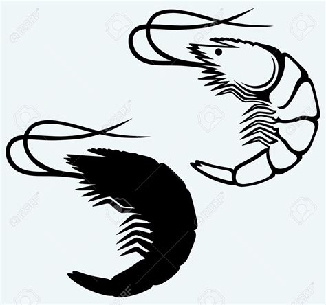 Shrimp Clipart Black And White | Free download on ClipArtMag