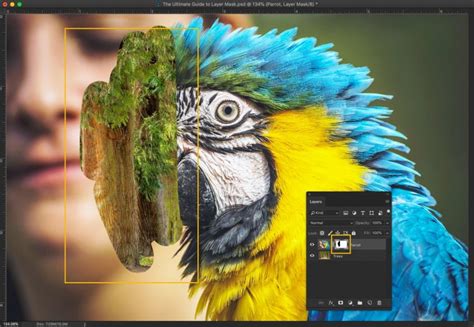 The Ultimate Guide to Layer Mask in Photoshop - TrickyPhotoshop