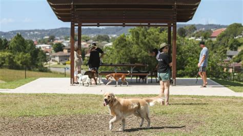 City of Newcastle opens its first fenced, off-leash area for dogs in ...