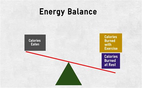 Biochemistry of Calories and Weight Loss – Walking Off Pounds