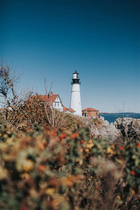 Local's Guide: Maine Fall Road Trip Itinerary (New England) — the weithouse