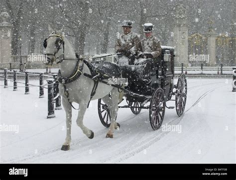 Horse Drawn Carriage In Snow