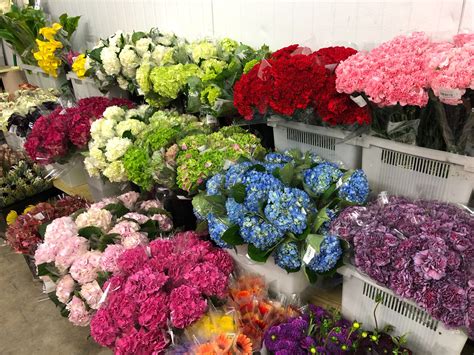 Cecilie Jensen: Wholesale Flowers Near Me Now : Wholesale Flowers Bulk Flowers Online Blooms By ...