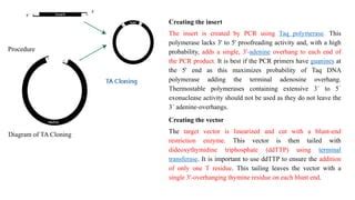 Strategies for cloning PCR products: TA cloning, Topo cloning.pdf