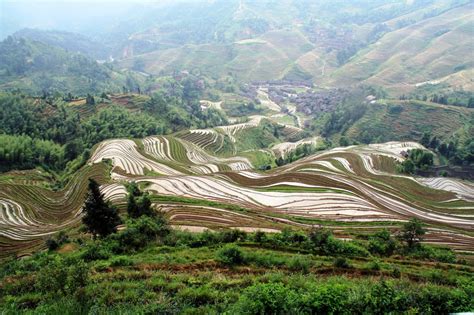 Guilin, China: Dragon's Backbone Rice Terraces Day! - i put my life on a shelf