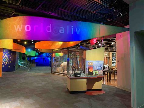 Discovery Place Science is celebrating its 40th birthday with free ...