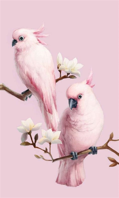 Download Pink Love Birds Painting Wallpaper | Wallpapers.com