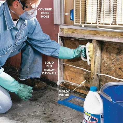 10 Tips for Dealing With Water Damage, Mold and Mildew | Family Handyman