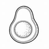 Avocado Coloring Page Free Printable sketch template