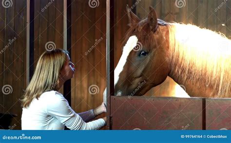 Young Woman Touching Horse in Farm Stall. Woman and Horse Standing in ...