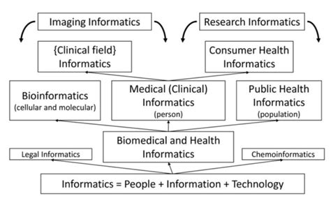 HiQuiPs: Introduction to Biomedical and Health Informatics and its Role ...