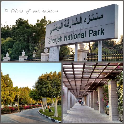 Colors of our Rainbow: Nature-therapy: Sharjah National Park