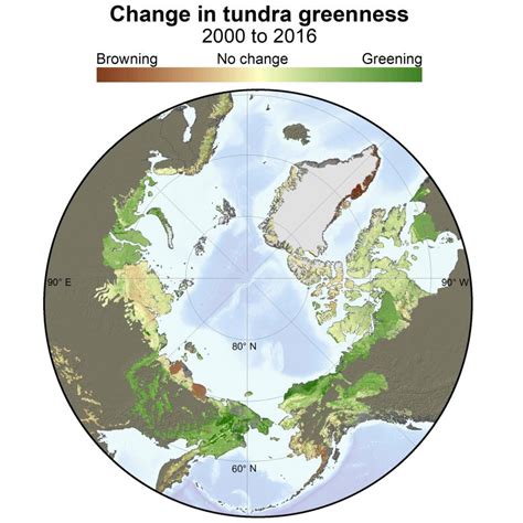 Rapid Greening Across Arctic Tundra Studied via NASA Satellites ...