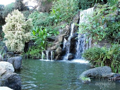 Waterfall Lagoon Photograph by Browne and Huettner Fine Art - Fine Art America