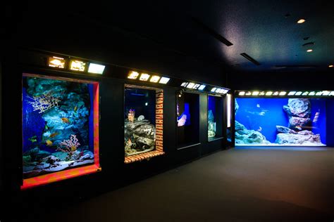 Aquarium Map | Okinawa Churaumi Aquarium - For the next generation to inherit; the beautiful ...