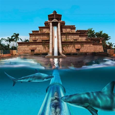 Aquaventure Waterpark