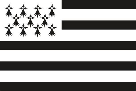 Drapeau Province de la Bretagne - vente en ligne | Flagsonline.fr