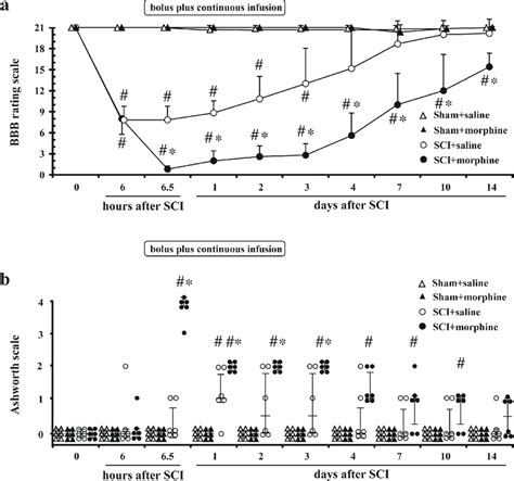 Effects of continuous infusion of intrathecal (IT) morphine on... | Download Scientific Diagram