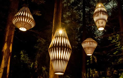 David Trubridge lights up a magical redwood tree walk in New Zealand ...