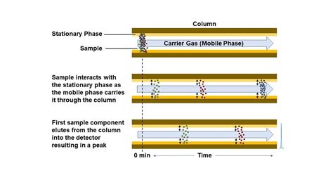 Column Gas Chromatography