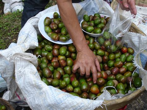 Google De, Spanish Plum, Spanish Food, De Imágen, Search, El Salvador ...