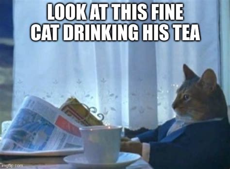 Cat drink tea - Imgflip