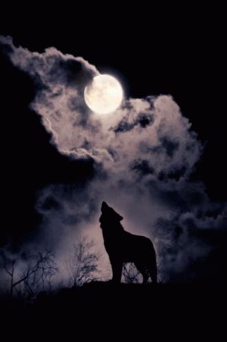 Howl Wolf GIF - Howl Wolf Moon - Discover & Share GIFs