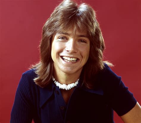 David Cassidy, 1970s teen idol, has died at 67 - NBC News