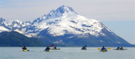 group in glacier bay sea kayak | International Wilderness Leadership School