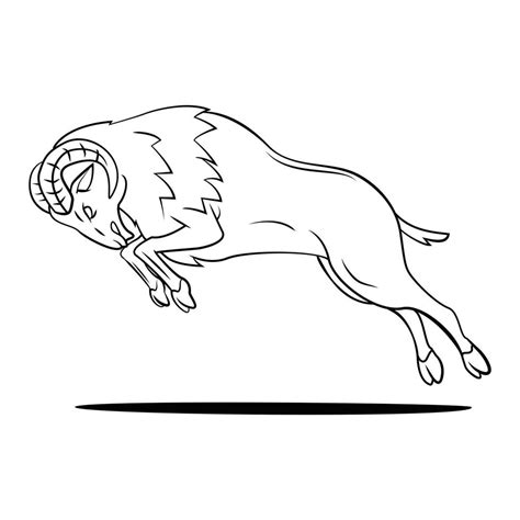 Ram Sheep illustration on white background 19797096 Vector Art at Vecteezy