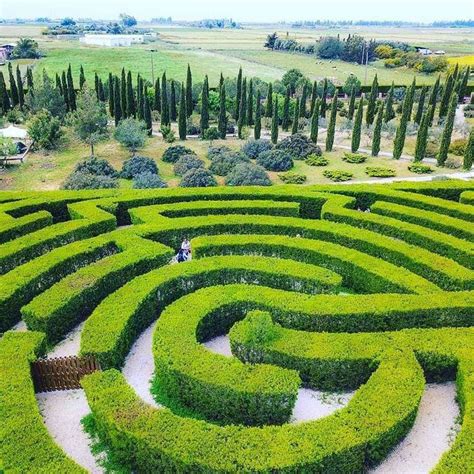 CyHerbia Hedge Maze - Real Life Mazes across the World