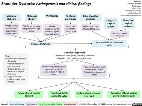 Shoulder Dystocia: Pathogenesis and clinical findings | Calgary Guide