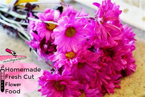 BEST Homemade Fresh Cut Flower Food Plus Tips on Why it Works