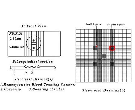 Medical Hemocytometer Blood Cell Counting Neubauer Chamber, 53% OFF