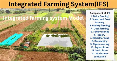 Integrated Farming System: 9 Models, Objectives & Advantages