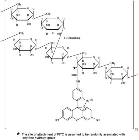 Fluorescein Isothiocyanate-Dextran