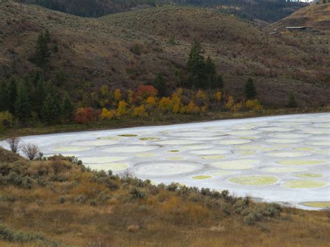 Free stock photo of spotted lake osoyoos bc