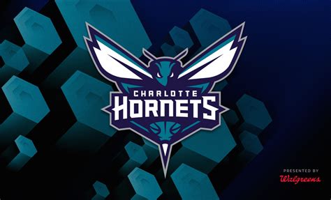 🔥 [44+] Charlotte Hornets Wallpapers | WallpaperSafari