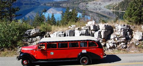 Red Bus Tours | Glacier Park Inc | Red bus, Glacier national park, Glacier park