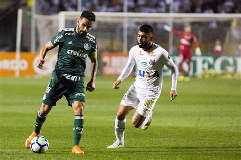 Sociedade Esportiva Palmeiras: Brasileirão 2018 - Fecha 13